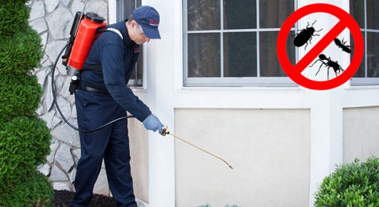 Borçka Gümüşkurt İlaçlama böcek ilaçlama ve haşere kontrolü — ilaclama-tr.com